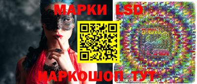 сатива Ставрополь