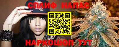 сатива Ставрополь