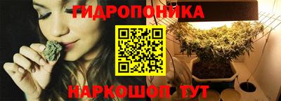стафф Тара