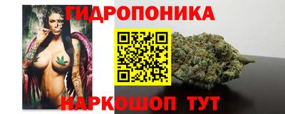 молекула духа Среднеуральск