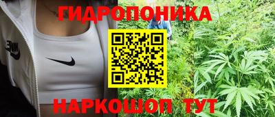 молекула духа Среднеуральск