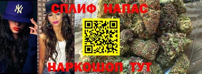 молекула духа Среднеуральск