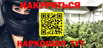 сатива Ставрополь