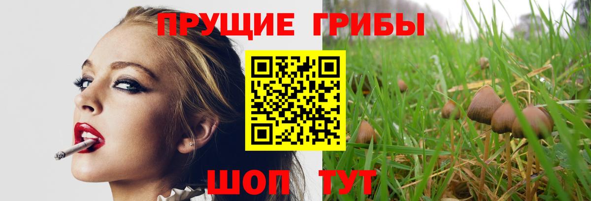 Нижневартовск  Галлюциногенные грибы MAGIC MUSHROOMS  Галлюциногенные грибы Cubensis  купить закладку  Вход с VPN 